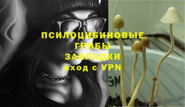 2c-b Карталы