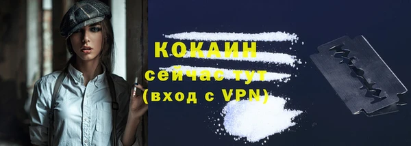 дживик Березники